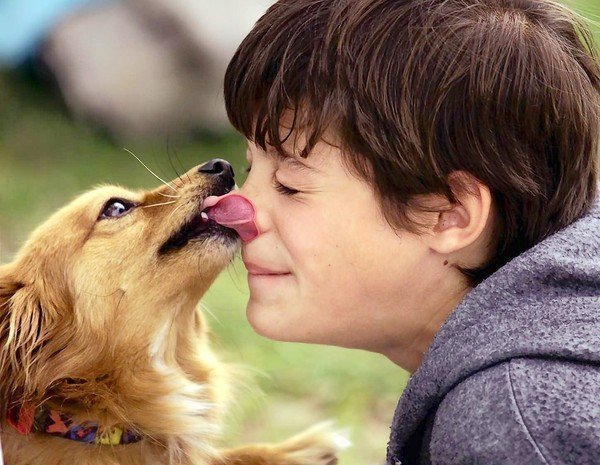 Kissing Your Dog Can Lead To Disease, Science Says - AskMen