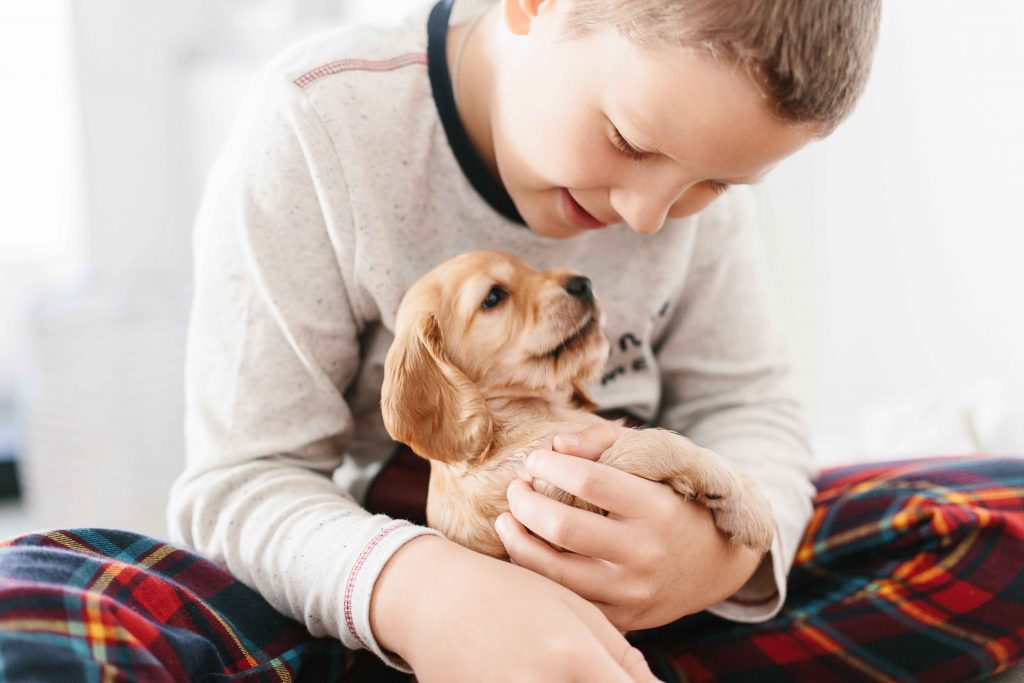 Getting a Child a Pet